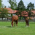 Georgenbruch