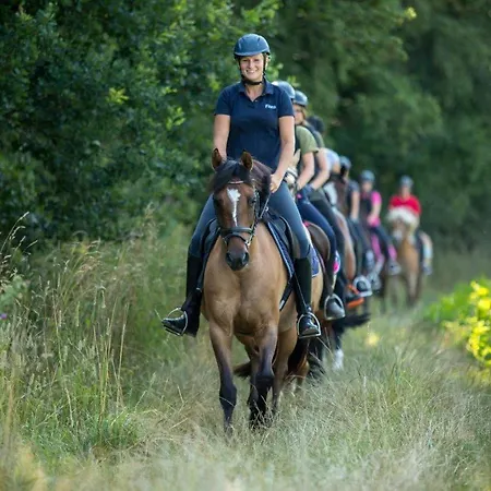 Apartman Georgenbruch *