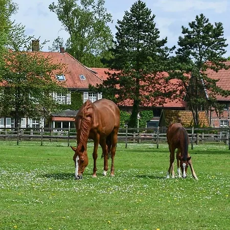 Georgenbruch