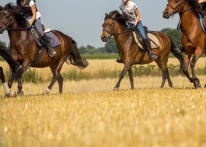 Georgenbruch Everswinkel